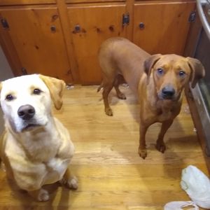 Meet your Posher, Andrew